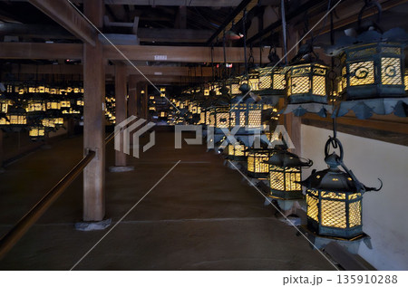 春日大社　奈良県　奈良市 春日野町 135910288