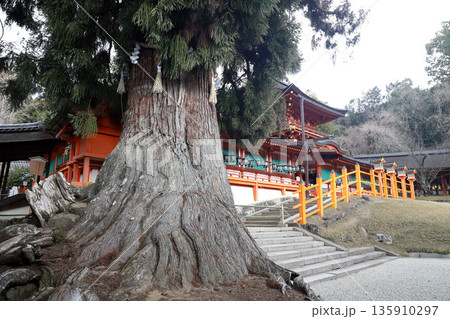 春日大社　奈良県　奈良市 春日野町 135910297