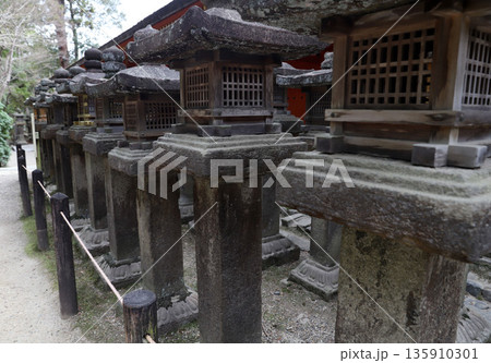 春日大社　奈良県　奈良市 春日野町 135910301