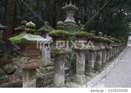 春日大社 奈良県 奈良市 春日野町 春日大社 奈良県 奈良市 春日野町 135910306