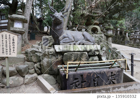 春日大社　奈良県　奈良市 春日野町 135910332