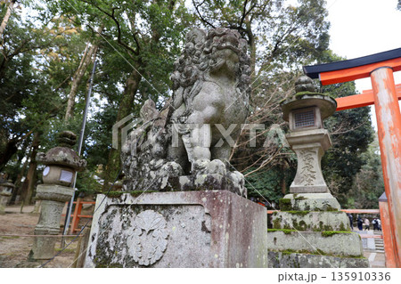 春日大社　奈良県　奈良市 春日野町 135910336