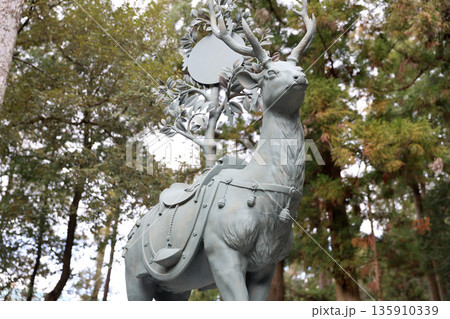 春日大社　奈良県　奈良市 春日野町 135910339