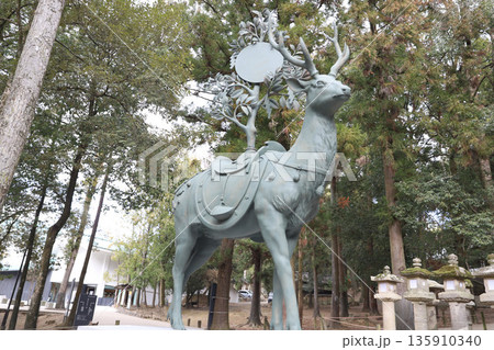 春日大社　奈良県　奈良市 春日野町 135910340
