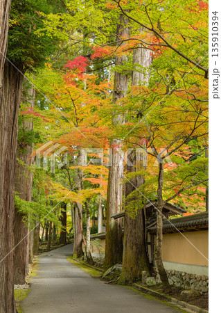 日本　広島県三原市高坂町にある佛通寺の紅葉した木々 135910394