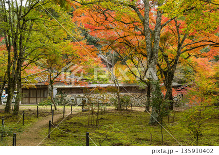 日本 広島県三原市高坂町にある佛通寺の紅葉した木々 日本 広島県三原市高坂町にある佛通寺の紅葉した木々 135910402