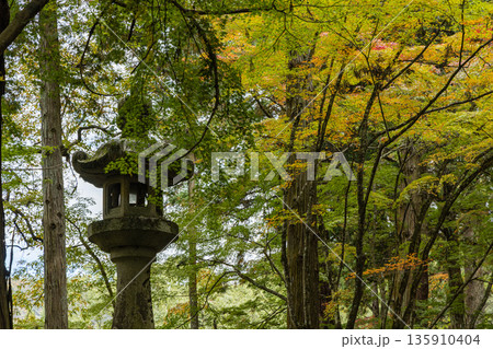 日本 広島県三原市高坂町にある佛通寺の紅葉した木々と灯籠 日本 広島県三原市高坂町にある佛通寺の紅葉した木々と灯籠 135910404