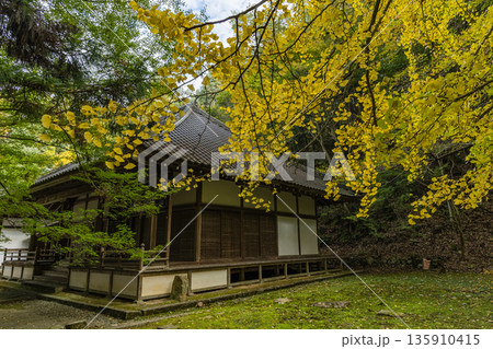 日本 広島県三原市高坂町にある佛通寺の地蔵堂と黄葉した銀杏 日本 広島県三原市高坂町にある佛通寺の地蔵堂と黄葉した銀杏 135910415