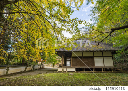 日本 広島県三原市高坂町にある佛通寺の地蔵堂と黄葉した銀杏 日本 広島県三原市高坂町にある佛通寺の地蔵堂と黄葉した銀杏 135910418