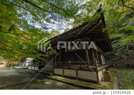 日本 広島県三原市高坂町にある佛通寺の地蔵堂と黄葉した銀杏 日本 広島県三原市高坂町にある佛通寺の地蔵堂と黄葉した銀杏 135910420
