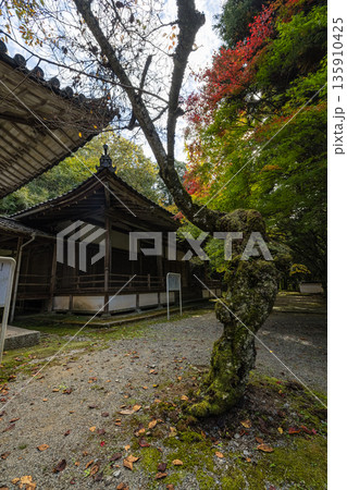 日本　広島県三原市高坂町にある佛通寺の地蔵堂 135910425