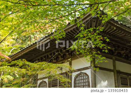 日本 広島県三原市高坂町にある佛通寺の輪蔵と紅葉した木々 日本 広島県三原市高坂町にある佛通寺の輪蔵と紅葉した木々 135910433