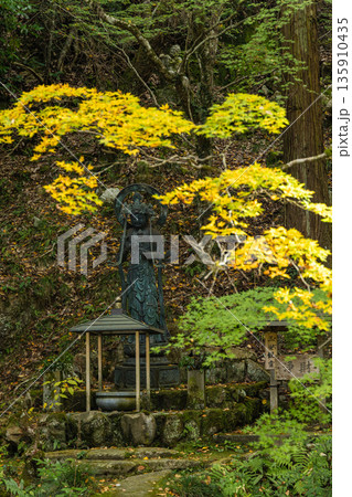 日本　広島県三原市高坂町にある佛通寺の崑崗池の三安観音と紅葉した木々 135910435