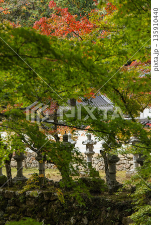 日本 広島県三原市高坂町にある佛通寺の紅葉した木々 日本 広島県三原市高坂町にある佛通寺の紅葉した木々 135910440
