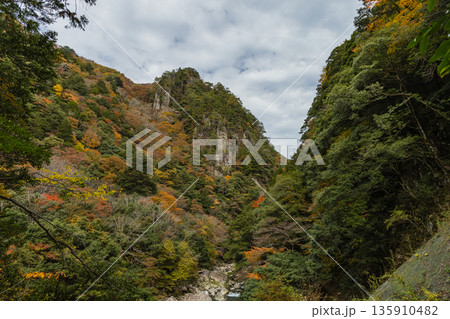 日本　広島県山県郡安芸太田町にある峡谷、三段峡の天狗岩と紅葉した木々 135910482