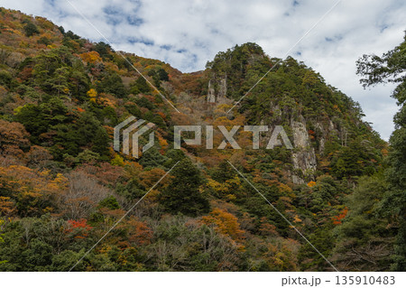 日本　広島県山県郡安芸太田町にある峡谷、三段峡の天狗岩と紅葉した木々 135910483