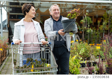 Smiling mature married couple pushing cart in front of themselves while shopping in garden market 135910638