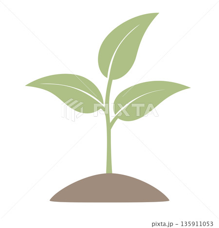 sprout vector illustration 135911053