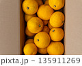 日本の新鮮な産地直送箱入りはっさく 135911269