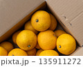 日本の新鮮な産地直送箱入りはっさく 135911272
