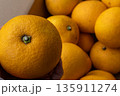 日本の新鮮な産地直送箱入りはっさく 135911274
