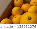 日本の新鮮な産地直送箱入りはっさく 135911276
