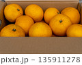 日本の新鮮な産地直送箱入りはっさく 135911278
