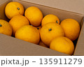 日本の新鮮な産地直送箱入りはっさく 135911279