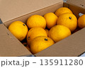 日本の新鮮な産地直送箱入りはっさく 135911280