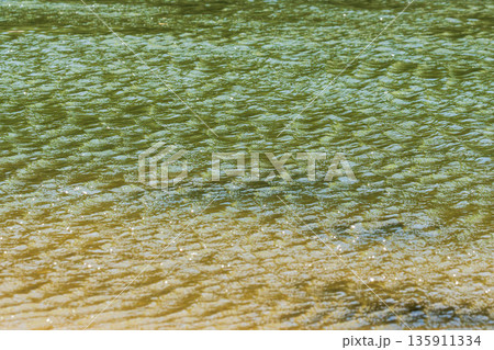 秋の川　秋風に吹かれる清流の流れ112 135911334