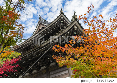 日本 広島県三原市高坂町にある佛通寺の観音堂と紅葉した木々 日本 広島県三原市高坂町にある佛通寺の観音堂と紅葉した木々 135911392