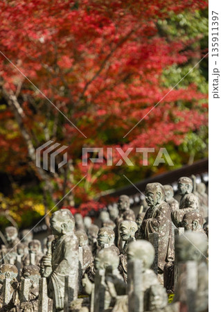 日本 広島県三原市高坂町にある佛通寺の羅漢庭に並ぶ羅漢像と紅葉した木々 日本 広島県三原市高坂町にある佛通寺の羅漢庭に並ぶ羅漢像と紅葉した木々 135911397