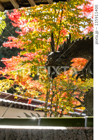日本　広島県三原市高坂町にある佛通寺の手水舎と紅葉した木々 135911400