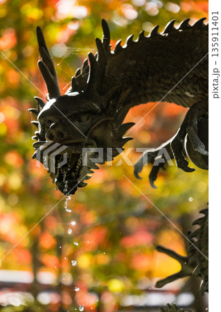 日本　広島県三原市高坂町にある佛通寺の手水舎と紅葉した木々 135911401