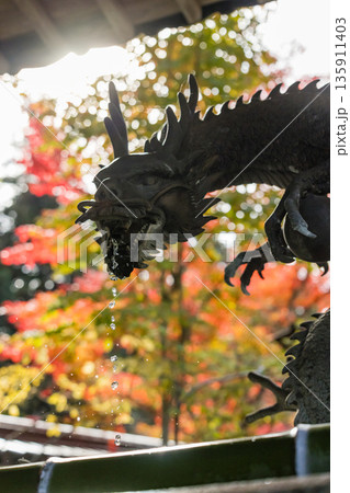 日本 広島県三原市高坂町にある佛通寺の手水舎と紅葉した木々 日本 広島県三原市高坂町にある佛通寺の手水舎と紅葉した木々 135911403