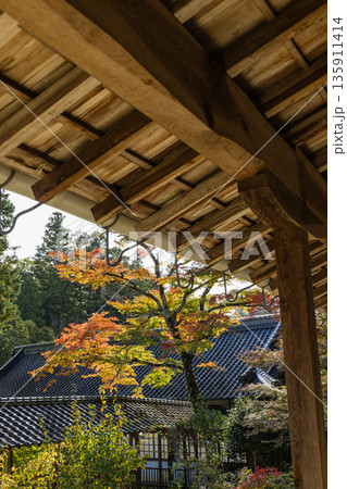 日本　広島県三原市高坂町にある佛通寺の紅葉した木々 135911414