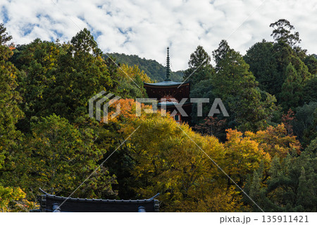 日本 広島県三原市高坂町にある佛通寺の多宝塔と紅葉した木々 日本 広島県三原市高坂町にある佛通寺の多宝塔と紅葉した木々 135911421