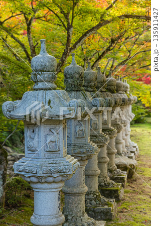 日本 広島県三原市高坂町にある佛通寺の紅葉した木々と灯籠 日本 広島県三原市高坂町にある佛通寺の紅葉した木々と灯籠 135911427