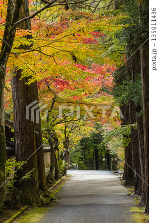 日本 広島県三原市高坂町にある佛通寺の紅葉した木々 日本 広島県三原市高坂町にある佛通寺の紅葉した木々 135911436