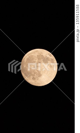 満月 135911588