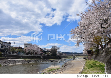 岐阜県の高山市 満開の桜と美しい青空 櫻山八幡宮の大鳥居と宮前橋 市街地を流れる宮川と周辺の街並み 岐阜県の高山市 満開の桜と美しい青空 櫻山八幡宮の大鳥居と宮前橋 市街地を流れる宮川と周辺の街並み 135911614