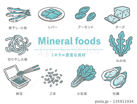 ミネラルが豊富な食材のイラストセット（鉄分・カルシウム・亜鉛） 135911934