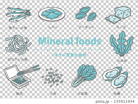 ミネラルが豊富な食材のイラストセット（鉄分・カルシウム・亜鉛） 135911934
