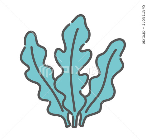 わかめのイラスト（海藻/ミネラル食材） 135911945