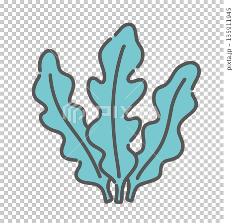 わかめのイラスト（海藻/ミネラル食材） 135911945