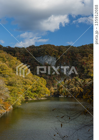 日本　広島県庄原市東城町にある帝釈峡　ダム湖である神龍湖と紅葉した木々 135912088