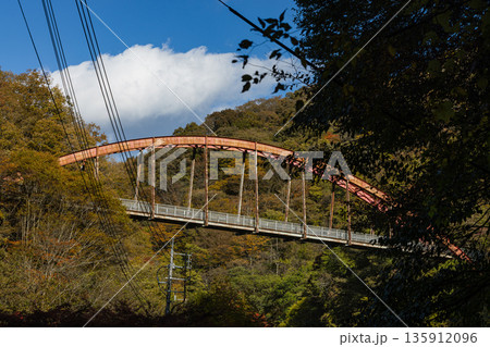 日本　広島県庄原市東城町にある帝釈峡　ダム湖である神龍湖の紅葉した木々 135912096