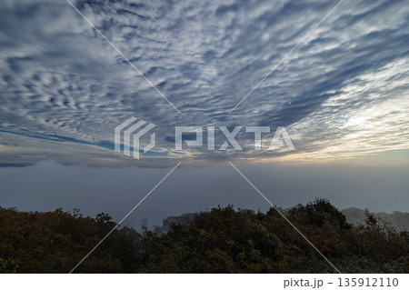 日本 広島県三次市粟屋町にある早朝の高谷山展望台から見える雲海と高積雲 日本 広島県三次市粟屋町にある早朝の高谷山展望台から見える雲海と高積雲 135912110