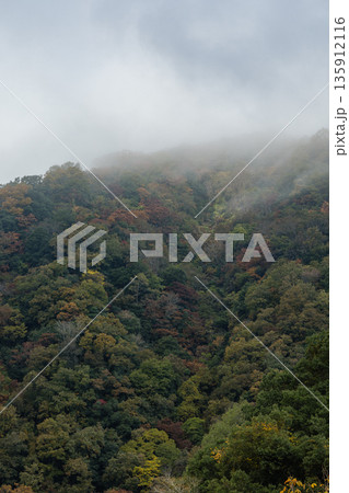 日本 広島県三次市作木町にある常清滝周辺の風景 日本 広島県三次市作木町にある常清滝周辺の風景 135912116
