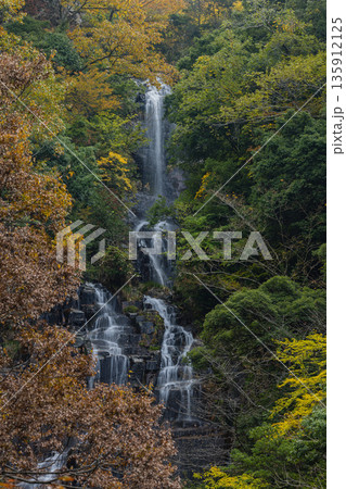 日本 広島県三次市作木町にある常清滝と紅葉した木々 日本 広島県三次市作木町にある常清滝と紅葉した木々 135912125
